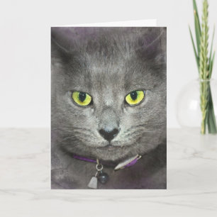 Carte Chat Gris Obtenir un vieil Humour