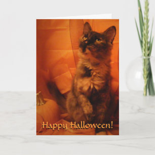Carte Chat Halloween