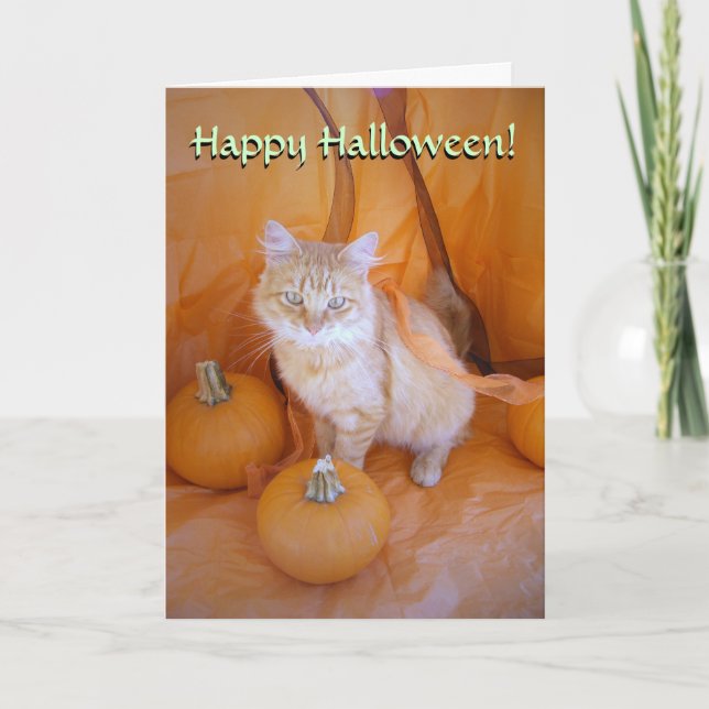 Carte Chat Halloween (Devant)