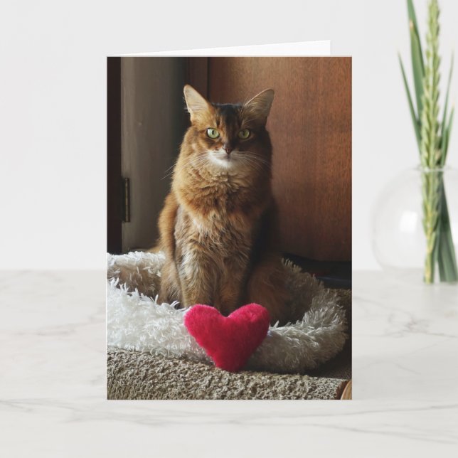 Carte Chat Heart Cat Somali Saint-Valentin  (Devant)