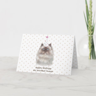 Carte Chat himalayen avec chapeau de fête