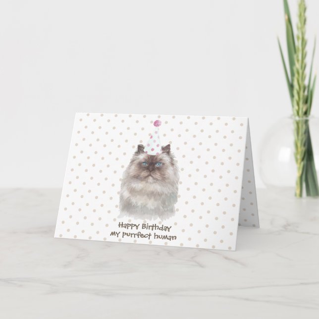 Carte Chat himalayen avec chapeau de fête (Devant)