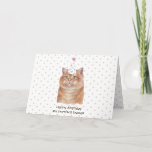 Carte Chat Hosico avec chapeau de fête