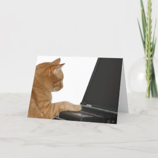Carte chat informatique