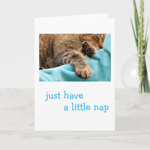 Carte Chat Laze Dormir Se Bien