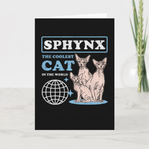 Carte Chat le plus froid de Sphynx   Chats Sphynx
