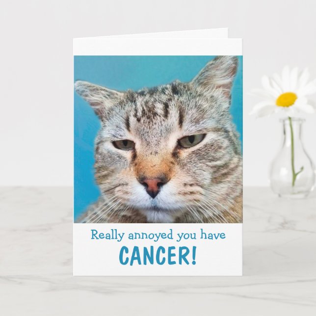 Carte Chat Mad Au Cancer Drôle (Petite plante)