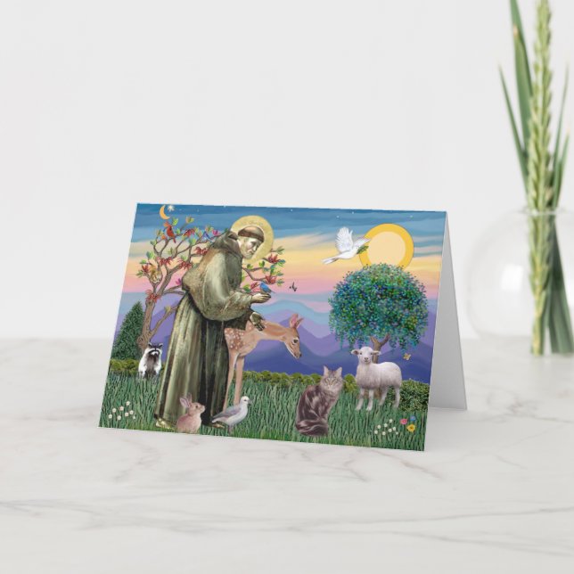 Carte Chat Maine Coon - Saint François (Devant)