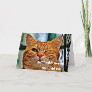 Carte Chat malicieux humour drôle clin d'œil salutations