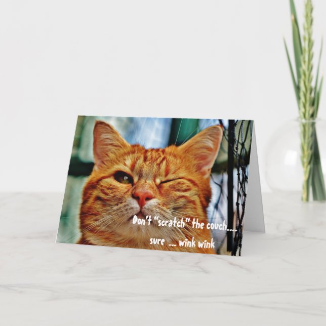 Carte Chat malicieux humour drôle clin d'œil salutations (Devant)