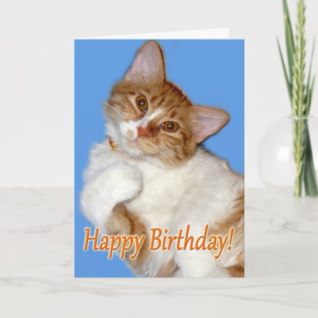 Carte Chat mignon en pose - Anniversaire Général (Devant)