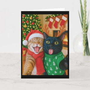 Carte Chat Mignon Mème Prenant Un Égoportrait Noël Lumiè