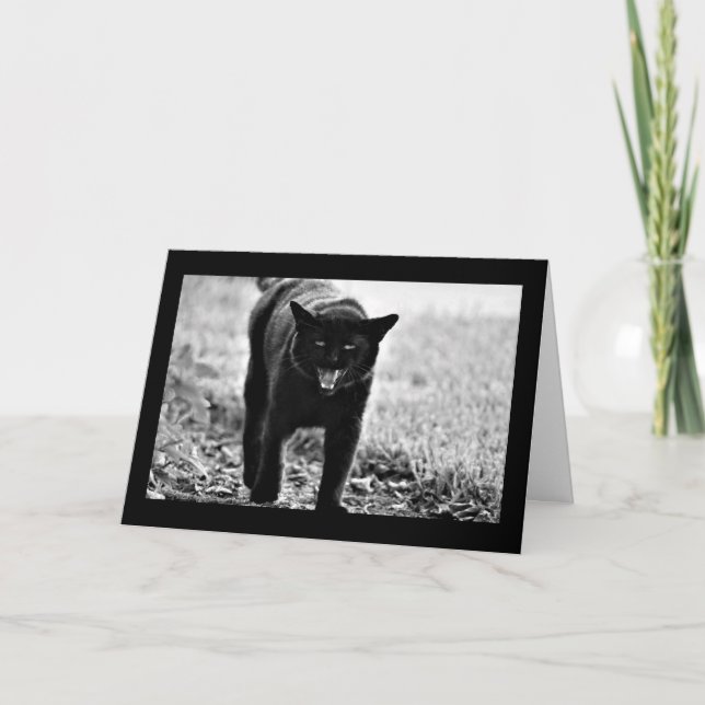 Carte "Chat noir " (Devant)