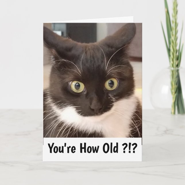 Carte Chat noir (Devant)