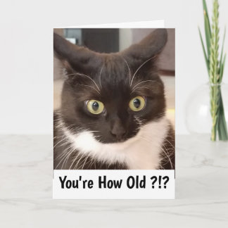 Carte Chat noir