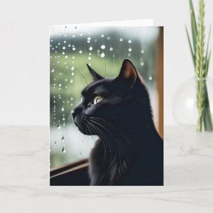 Carte Chat Noir Anniversaire Dans La Fenêtre Pluie