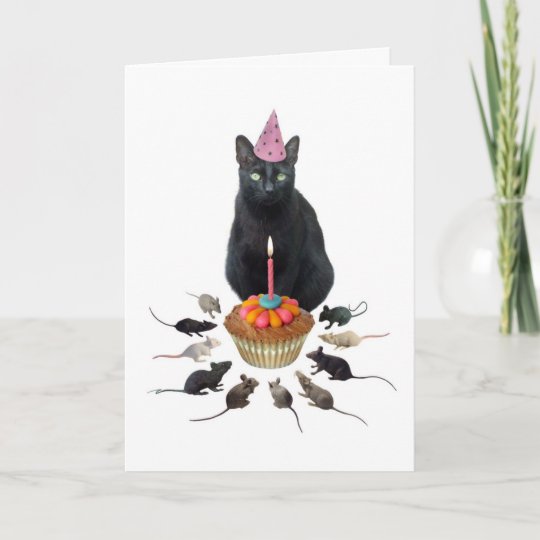 Carte Chat Noir Avec L Anniversaire De Rats Zazzle Fr