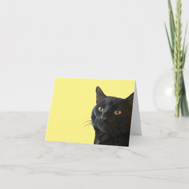 Carte Chat Noir Avec Une Expression Amusante Et Excentri (Devant)