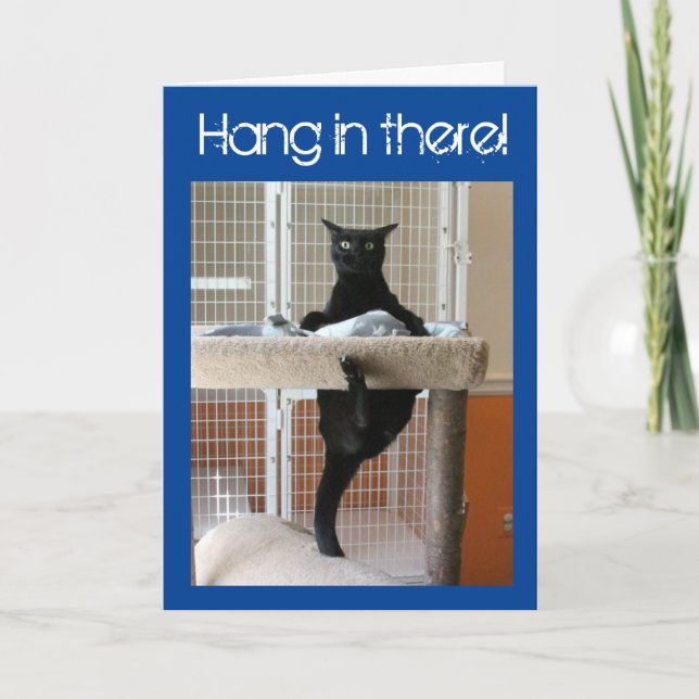 Carte Chat noir cramponné à un arbre à chat (Devant)