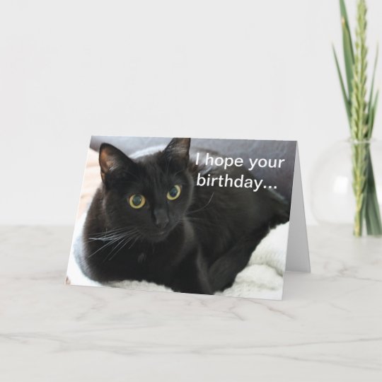 Carte Chat Noir D Anniversaire Zazzle Fr