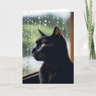 Carte Chat noir dans la fenêtre Pluie