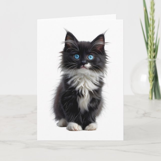 Carte Chat noir et blanc à poil long Yeux bleus vides (Devant)