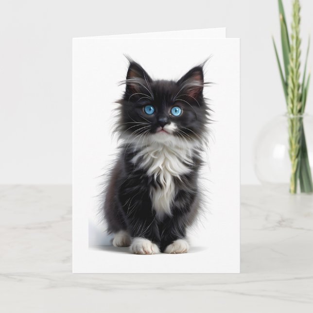 Carte Chat noir et blanc à poils longs Yeux bleus vides (Devant)