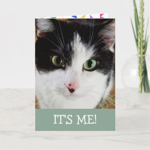 Carte Chat noir et blanc mignon Anniversaire
