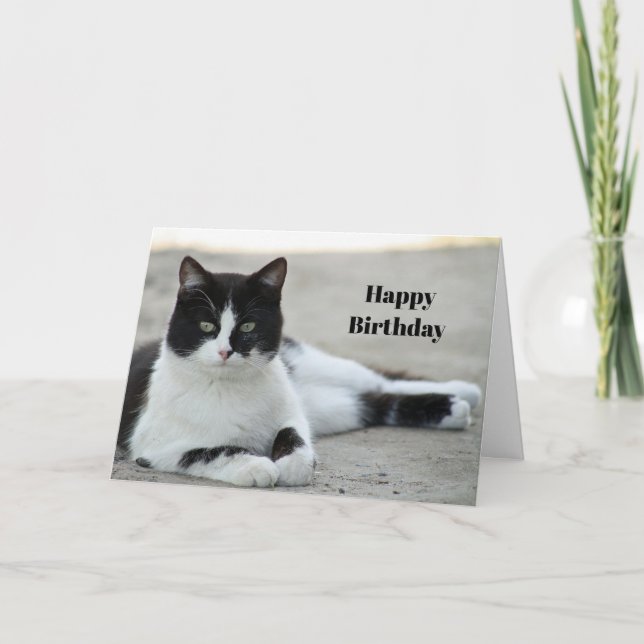 Carte Chat noir et blanc Tuxedo photo Anniversaire (Devant)