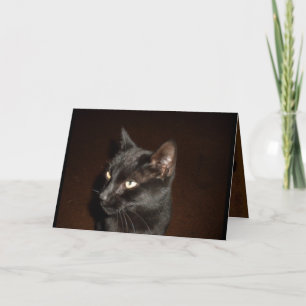 Carte CHAT NOIR HALLOWEEN