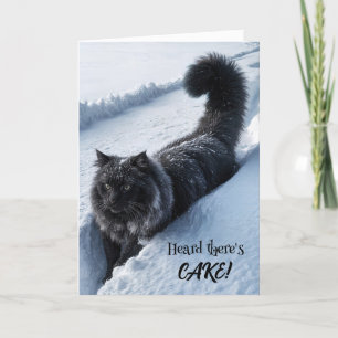 Carte Chat Noir Marchant Dans La Neige Profonde