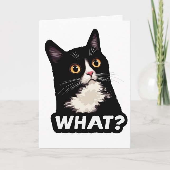 Carte Chat Noir Quoi? (Devant)
