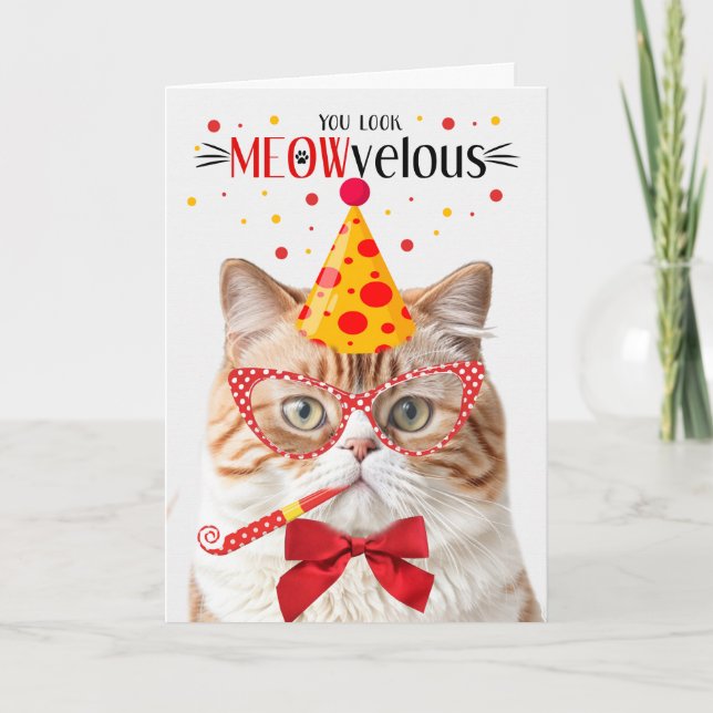 Carte Chat orange britannique Shorthair MEOWvelous Anniv (Devant)