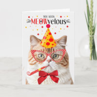 Chat orange britannique Shorthair MEOWvelous Anniv