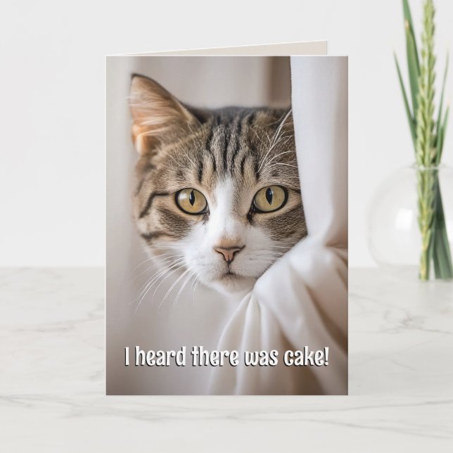Carte Chat Pékin autour du rideau Humour d'anniversaire (Devant)