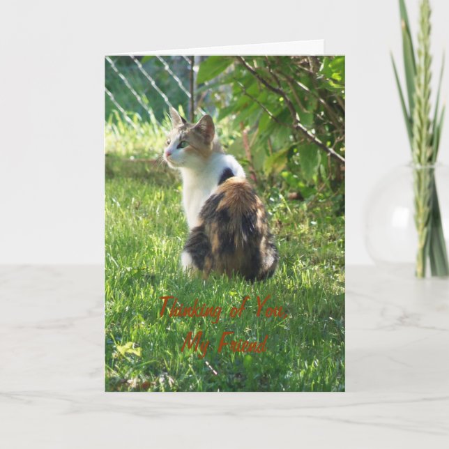 Carte Chat/Pensée de toi, Mon Ami (Devant)