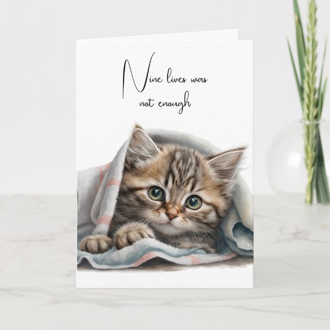 Carte Chat perdu Kitty dans une couverture (Devant)