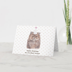 Carte Chat persan avec chapeau d'anniversaire