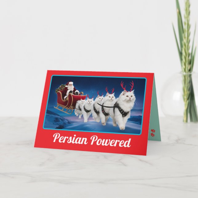 Carte Chat persan blanc drôle Noël vacances (Devant)