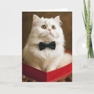 Carte Chat Persan de la Saint-Valentin dans une boîte de