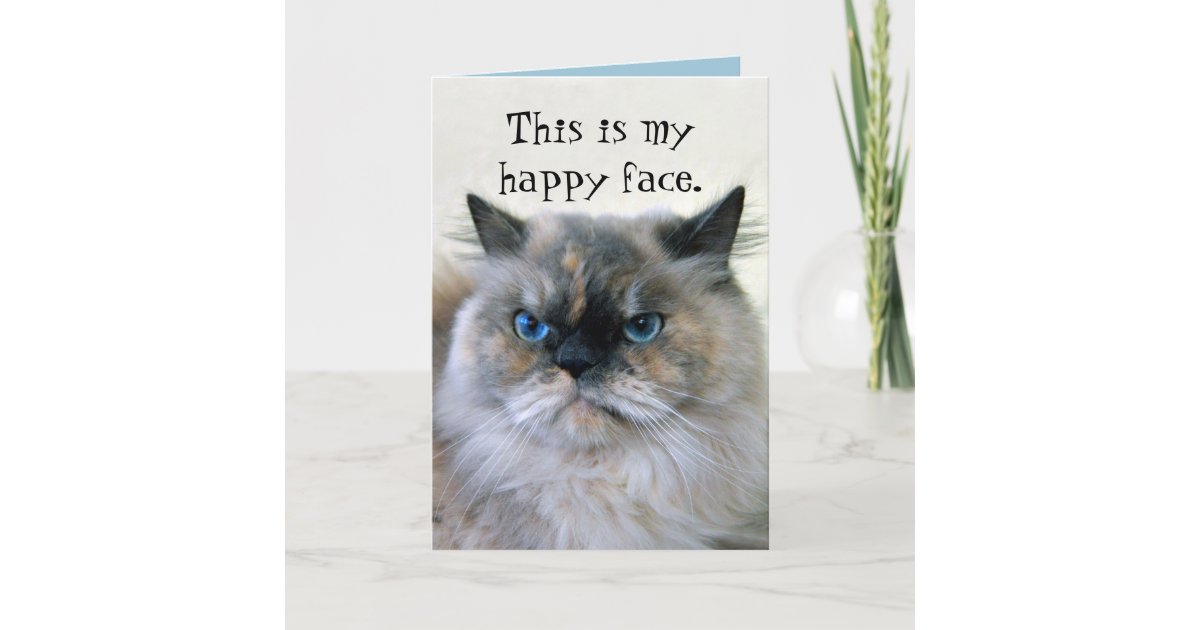 Carte Chat Persan De L Himalaya D Humour De Joyeux Zazzle Fr