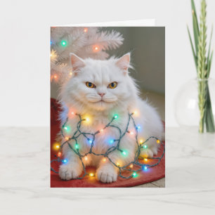 Carte Chat Persan de Noël emmêlé dans les lumières de fê