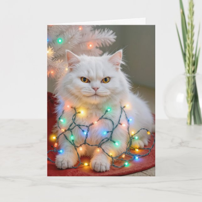 Carte Chat Persan de Noël emmêlé dans les lumières de fê (Devant)