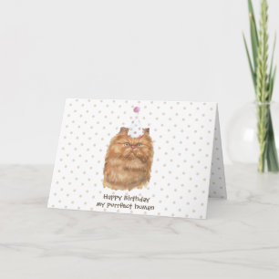 Carte Chat Persan Drôle avec Chapeau de Fête