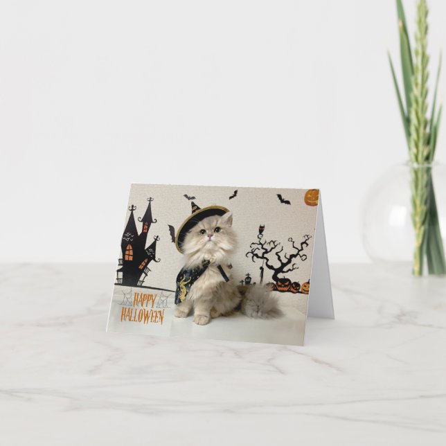 Carte Chat persan mignon en costume d'Halloween (Devant)