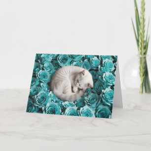Carte Chat perse blanc et Rose