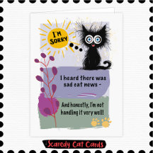 Chat Peureux "Sympathie pour Chat"