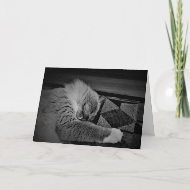 Carte Chat Ragdoll (Devant)
