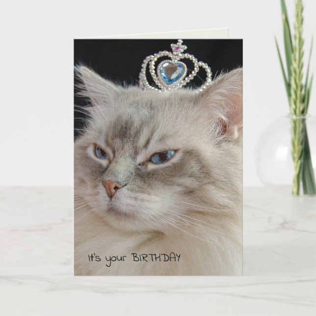 Carte Chat Ragdoll avec couronne (Devant)
