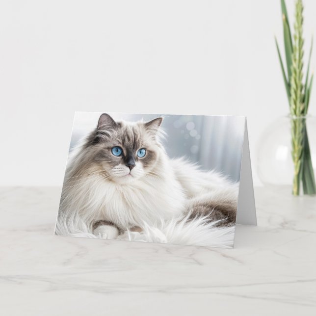 Carte Chat Ragdoll d'anniversaire sur un tapis de fourru (Devant)